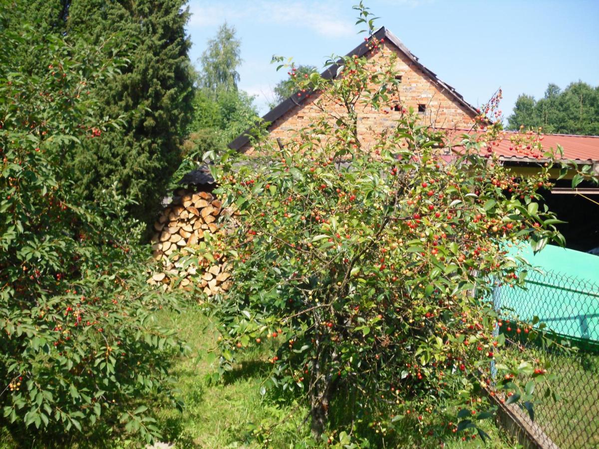 Mazury